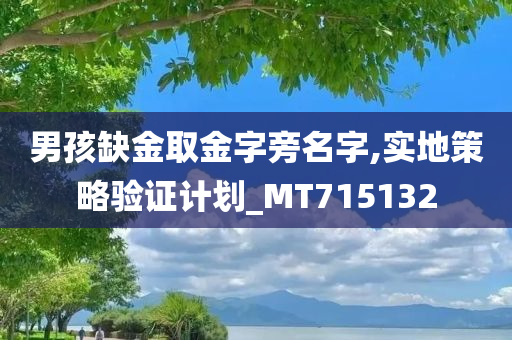 男孩缺金取金字旁名字,实地策略验证计划_MT715132