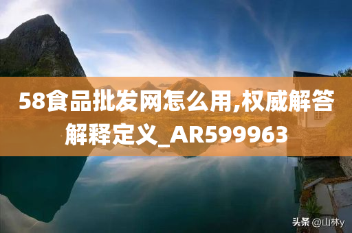 58食品批发网怎么用,权威解答解释定义_AR599963