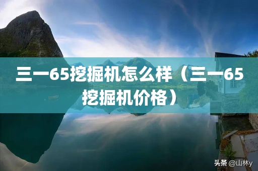 三一65挖掘机怎么样（三一65挖掘机价格）