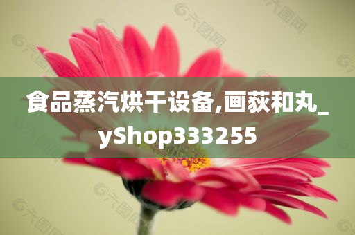 食品蒸汽烘干设备,画荻和丸_yShop333255