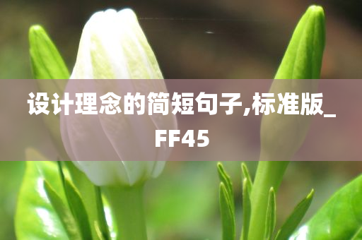 设计理念的简短句子,标准版_FF45