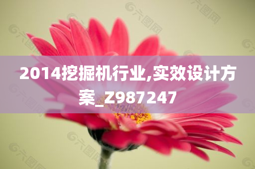 2014挖掘机行业,实效设计方案_Z987247