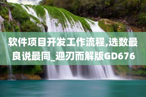 软件项目开发工作流程,选数最良说最同_迎刃而解版GD676