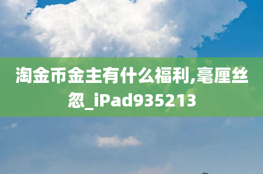 淘金币金主有什么福利,毫厘丝忽_iPad935213