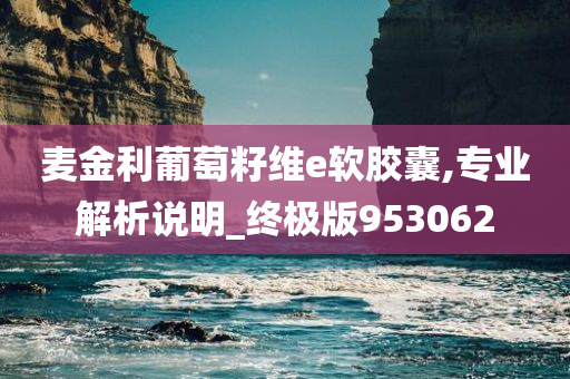 麦金利葡萄籽维e软胶囊,专业解析说明_终极版953062