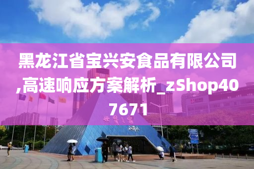 黑龙江省宝兴安食品有限公司,高速响应方案解析_zShop407671