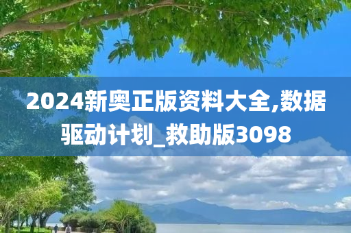 2024新奥正版资料大全,数据驱动计划_救助版3098