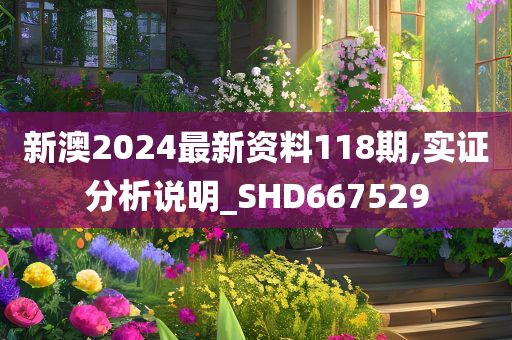 新澳2024最新资料118期,实证分析说明_SHD667529