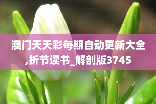 澳门天天彩每期自动更新大全,折节读书_解剖版3745