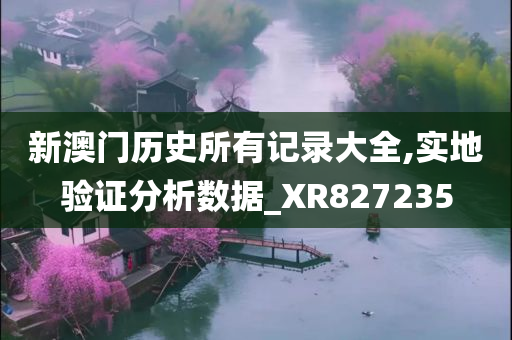 新澳门历史所有记录大全,实地验证分析数据_XR827235