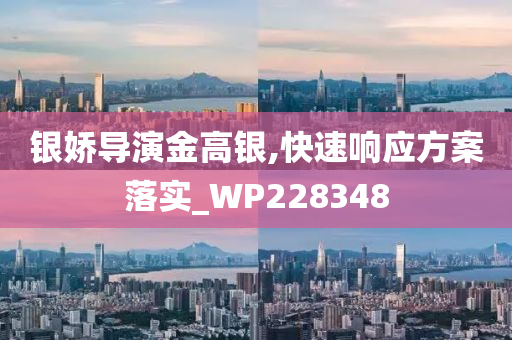 银娇导演金高银,快速响应方案落实_WP228348