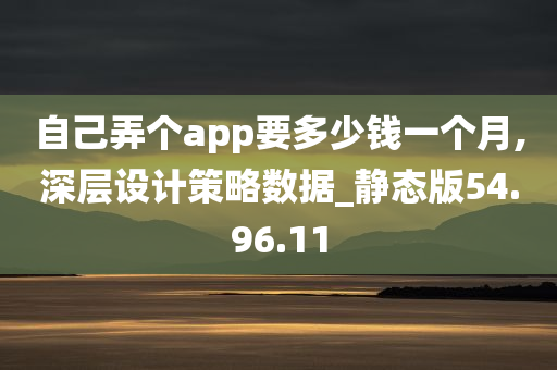 自己弄个app要多少钱一个月,深层设计策略数据_静态版54.96.11