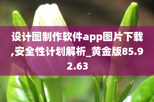 设计图制作软件app图片下载,安全性计划解析_黄金版85.92.63