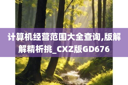 计算机经营范围大全查询,版解解精析挑_CXZ版GD676