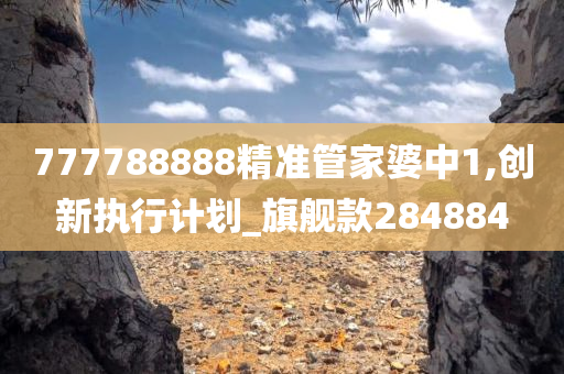 777788888精准管家婆中1,创新执行计划_旗舰款284884