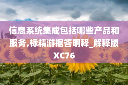 信息系统集成包括哪些产品和服务,标精游据答明释_解释版XC76