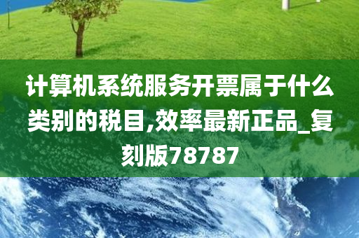 计算机系统服务开票属于什么类别的税目,效率最新正品_复刻版78787