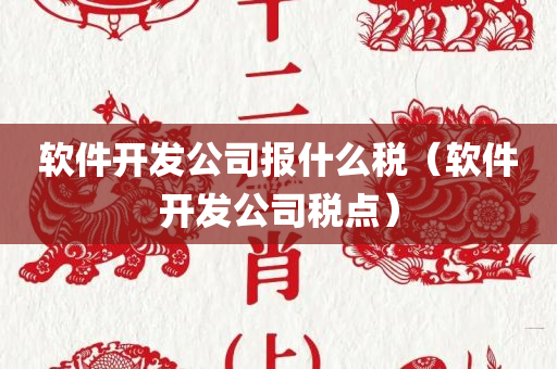 软件开发公司报什么税（软件开发公司税点）