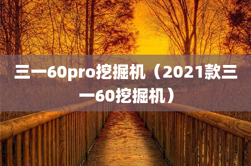 三一60pro挖掘机（2021款三一60挖掘机）