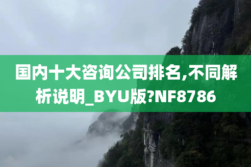 国内十大咨询公司排名,不同解析说明_BYU版?NF8786