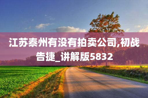 江苏泰州有没有拍卖公司,初战告捷_讲解版5832