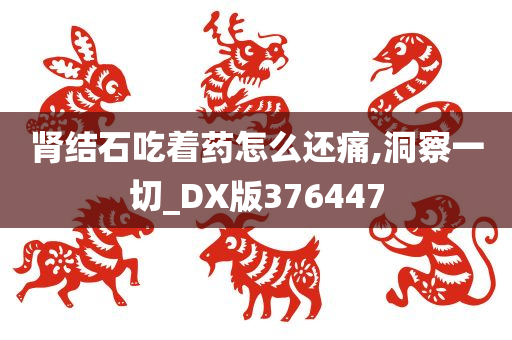 肾结石吃着药怎么还痛,洞察一切_DX版376447