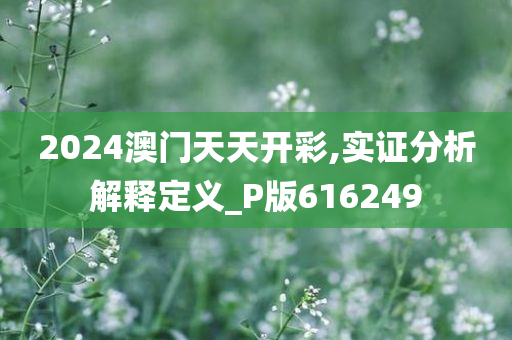 2024澳门天天开彩,实证分析解释定义_P版616249