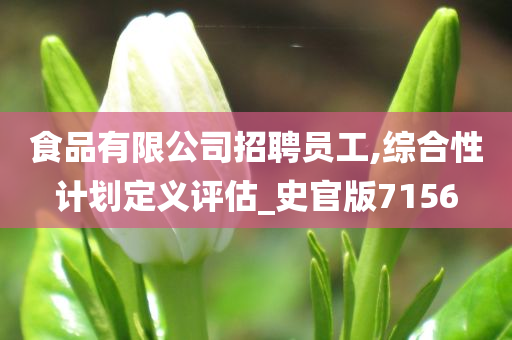 食品有限公司招聘员工,综合性计划定义评估_史官版7156