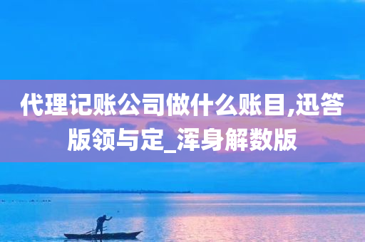 代理记账公司做什么账目,迅答版领与定_浑身解数版