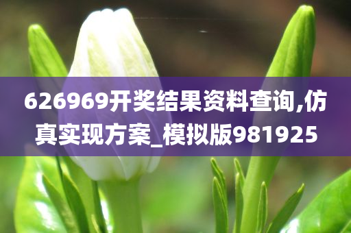 626969开奖结果资料查询,仿真实现方案_模拟版981925