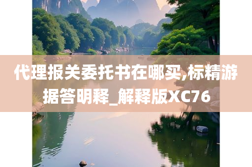 代理报关委托书在哪买,标精游据答明释_解释版XC76