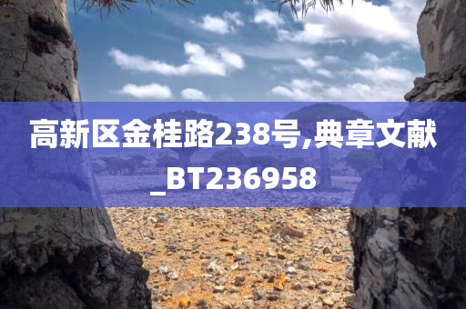 高新区金桂路238号,典章文献_BT236958