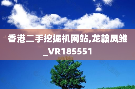 香港二手挖掘机网站,龙翰凤雏_VR185551