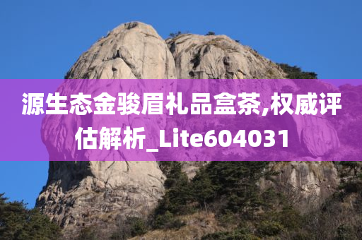 源生态金骏眉礼品盒茶,权威评估解析_Lite604031