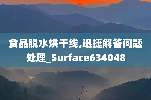 食品脱水烘干线,迅捷解答问题处理_Surface634048