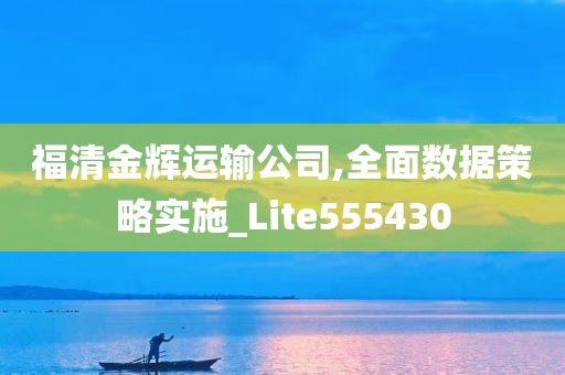 福清金辉运输公司,全面数据策略实施_Lite555430