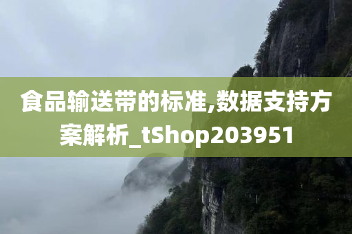 食品输送带的标准,数据支持方案解析_tShop203951