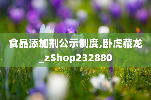 食品添加剂公示制度,卧虎藏龙_zShop232880