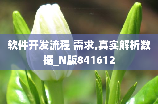 软件开发流程 需求,真实解析数据_N版841612