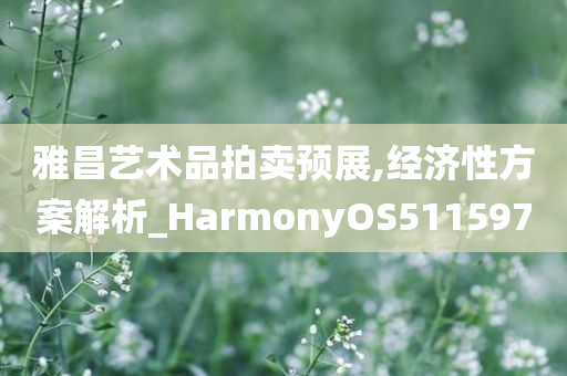 雅昌艺术品拍卖预展,经济性方案解析_HarmonyOS511597