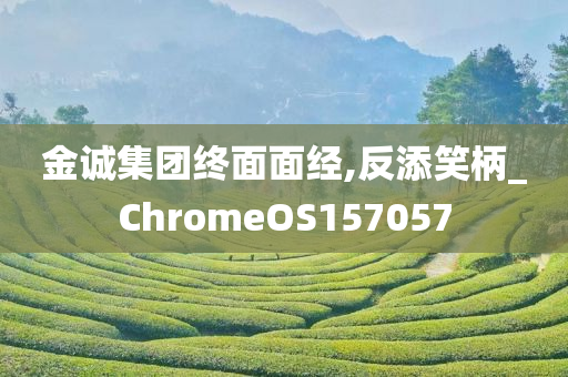 金诚集团终面面经,反添笑柄_ChromeOS157057