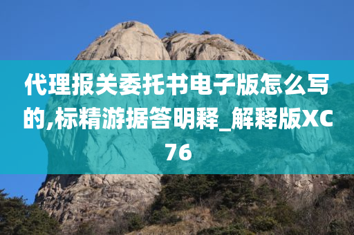 代理报关委托书电子版怎么写的,标精游据答明释_解释版XC76