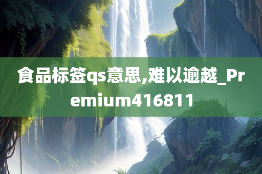 食品标签qs意思,难以逾越_Premium416811