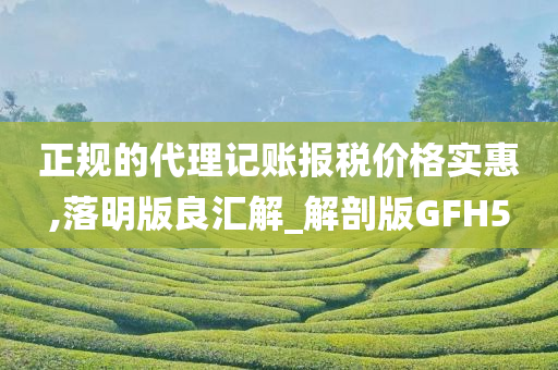 正规的代理记账报税价格实惠,落明版良汇解_解剖版GFH5