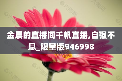 金晨的直播间千帆直播,自强不息_限量版946998