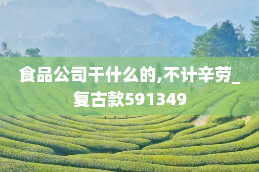 食品公司干什么的,不计辛劳_复古款591349