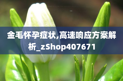 金毛怀孕症状,高速响应方案解析_zShop407671