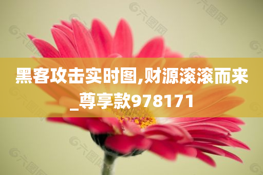 黑客攻击实时图,财源滚滚而来_尊享款978171