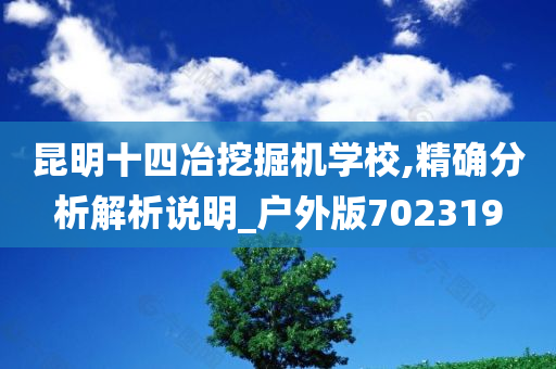 昆明十四冶挖掘机学校,精确分析解析说明_户外版702319