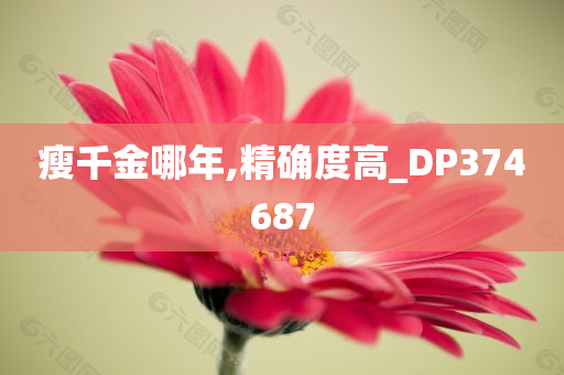 瘦千金哪年,精确度高_DP374687